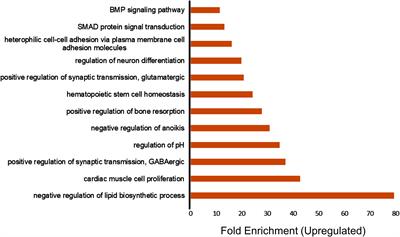 Anti-inflammatory effects of vagus nerve stimulation in pediatric patients with epilepsy